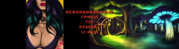 jwh Верхний Тагил